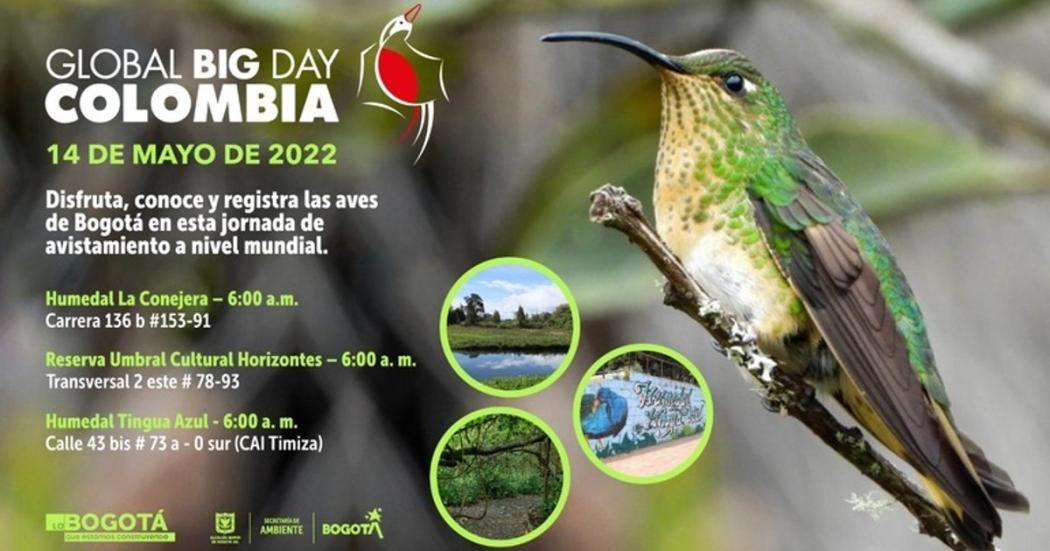 Jornada de avistamiento de aves en Bogotá durante el Global Big Day