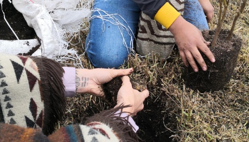 Jornada de jardineria en el Área Arqueológica Protegida El Carmen