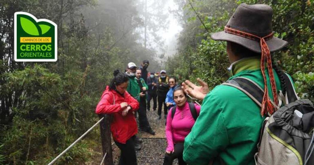 Quebrada La Vieja: Cronograma de caminatas de senderos en septiembre