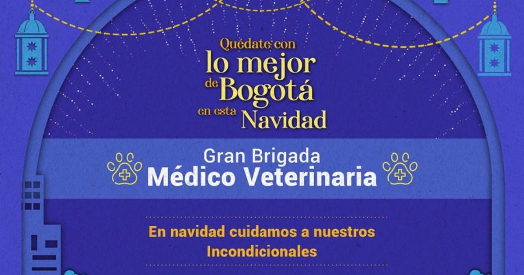 Brigada médico veterinaria en Bosa este 9 de diciembre 