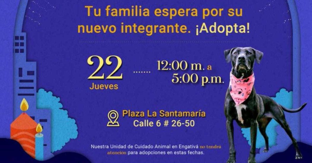Jornada de adopción de animales de compañía en La Santamaría 
