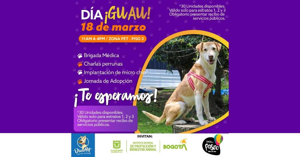 Jornada de adopción de animales en Bogotá. Sábado 18 de marzo 