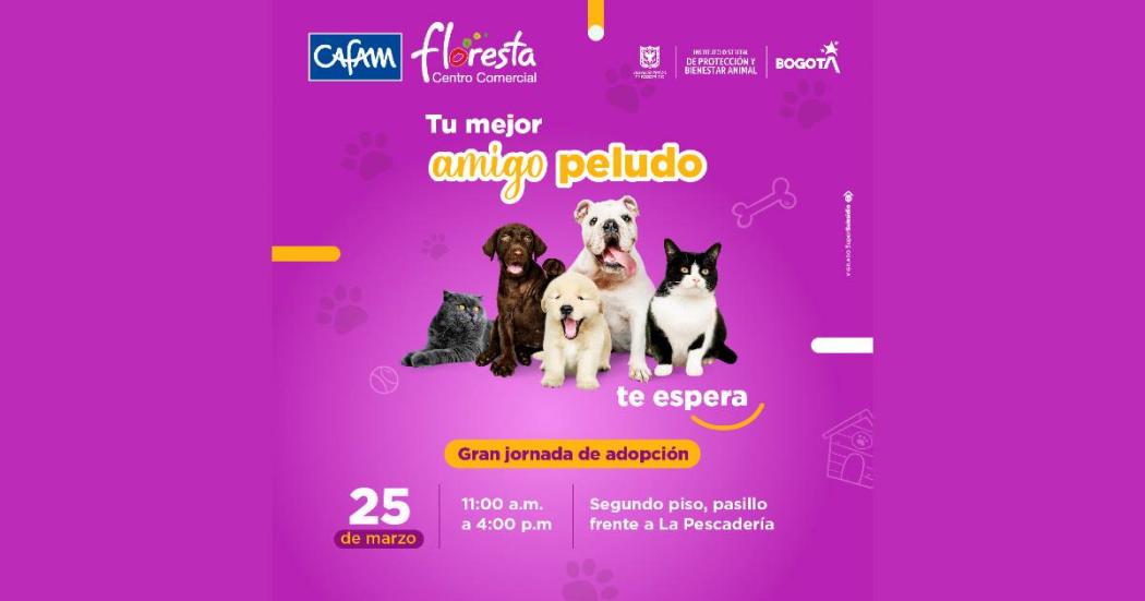 Jornada de adopción de animales en Bogotá, sábado 25 de marzo de 2023