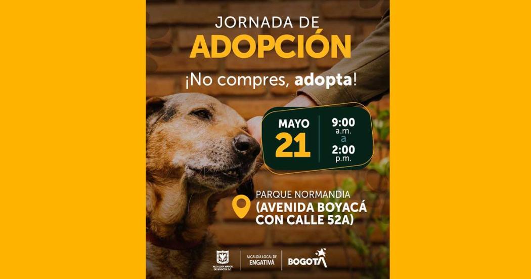 Jornada de adopción animal este domingo 21 de mayo en Engativá