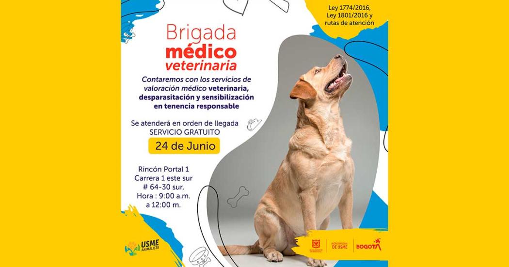 Lleva a tu mascota a la jornada médico veterinaria gratis en Usme ¡24 de junio!