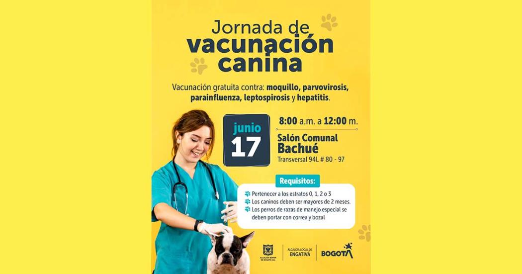 Vacuna gratis a tu perro contra 5 enfermedades ¡Sábado 17 de junio!