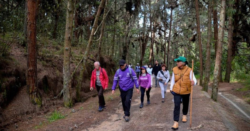 Participa en la caminata ecológica este domingo 30 de julio en Bogotá