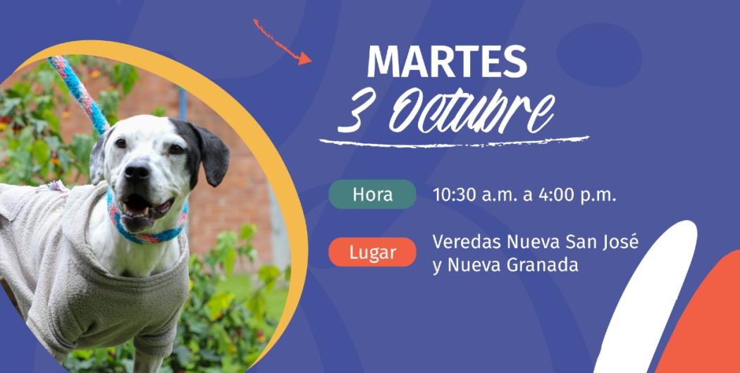 ¡Octubre 3! Jornada médica veterinaria en veredas Nueva San José y Nueva Granada