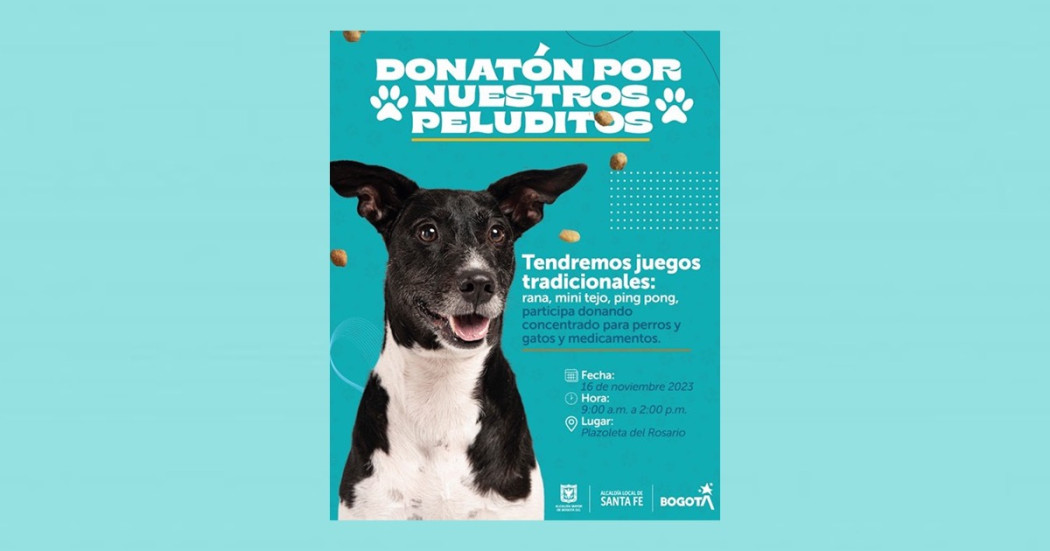 Asiste a la jornada de donación de alimentos para mascotas en Santa Fe 