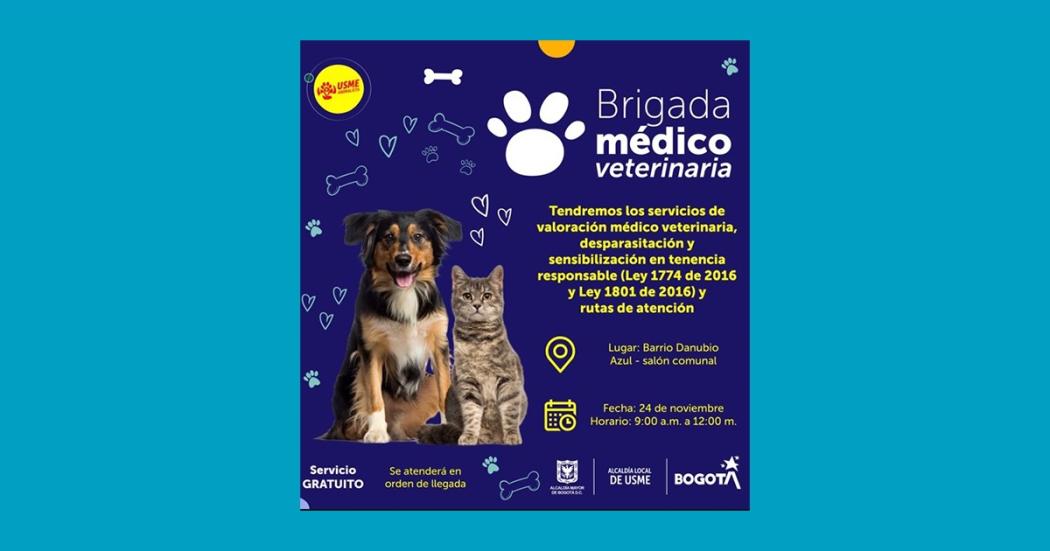 Lleva a tu mascota a la jornada médico veterinaria en Usme ¡24 de noviembre!