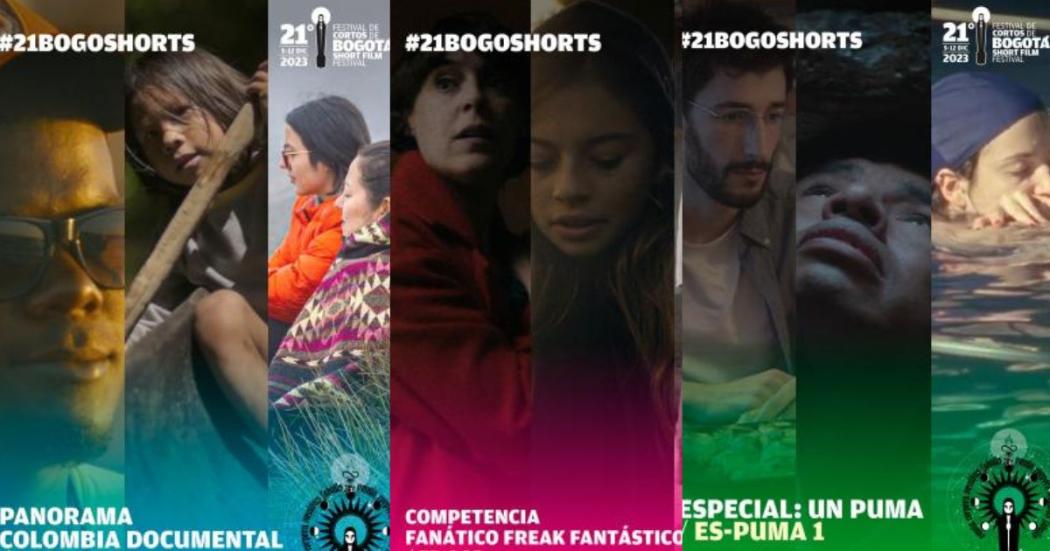 Programación películas Cinemateca de Bogotá viernes 8 de diciembre 