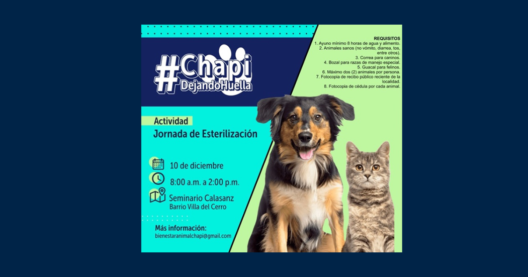Lleva a tu mascota a la jornada médico veterinaria en Chapinero ¡Diciembre 10!