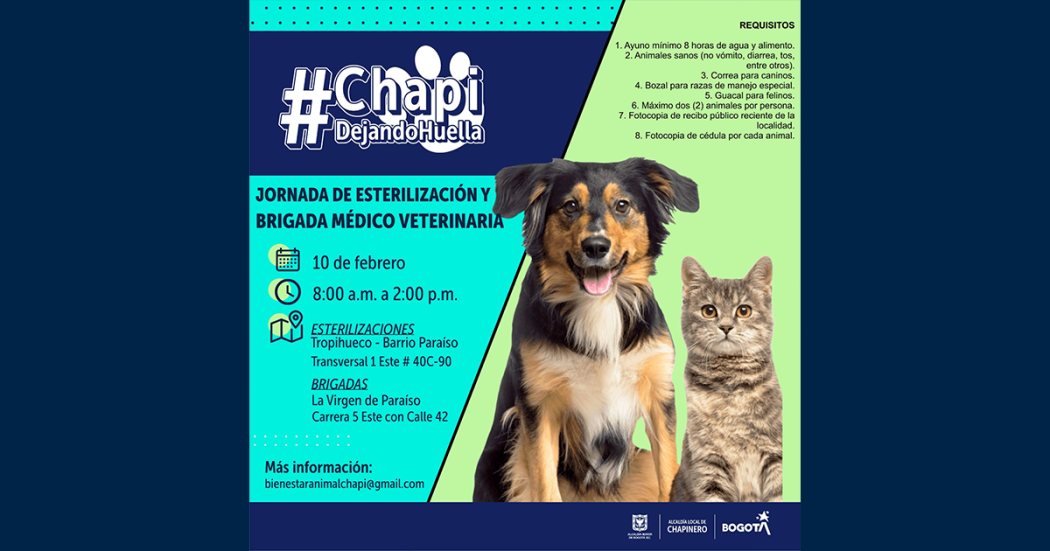 Jornada de esterilización en Chapinero el 10 de febrero ¡Asiste con tu mascota!