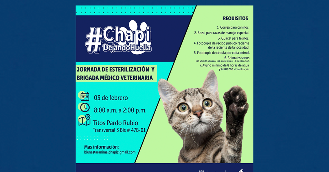Lleva a tu mascota a la jornada de esterilización en Chapinero el 3 de febrero