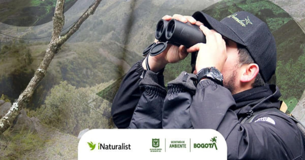 Participa del reto Naturalista Urbano eL 27 de abril 2024 en Bogotá 