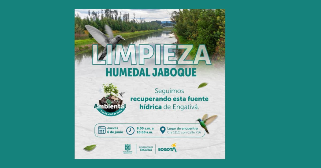 Jornada de limpieza en el humedal Jaboque para proteger su ecosistema 
