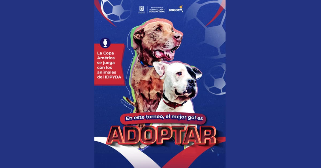 Jornada de adopción de perros en Bogotá sábado 6 de julio de 2024