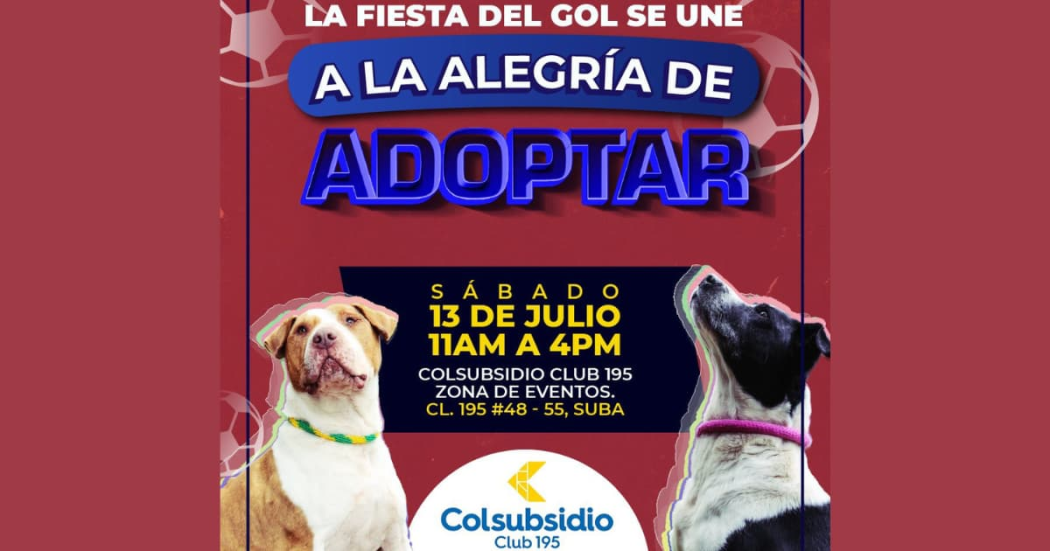 Jornada de adopción de perros y gatos en Bogotá 13 de julio 2023 