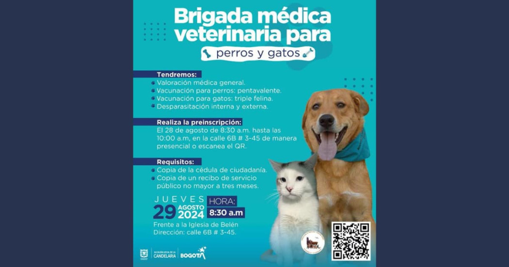 Brigada médica veterinaria para perros y gatos en La Candelaria