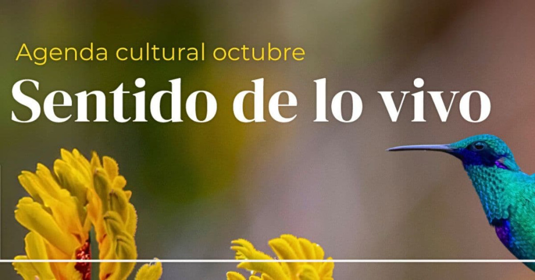 Planes en Bogotá con eventos en Jardín Botánico octubre 2024 