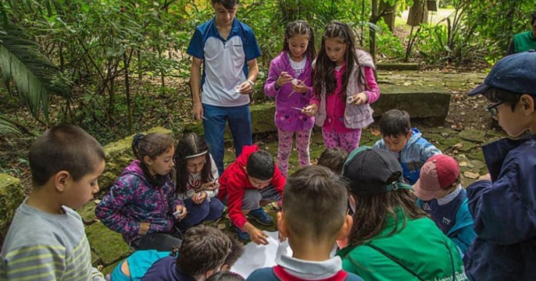 Navidad en Bogotá 2024 con vacaciones científica en Jardín Botánico 