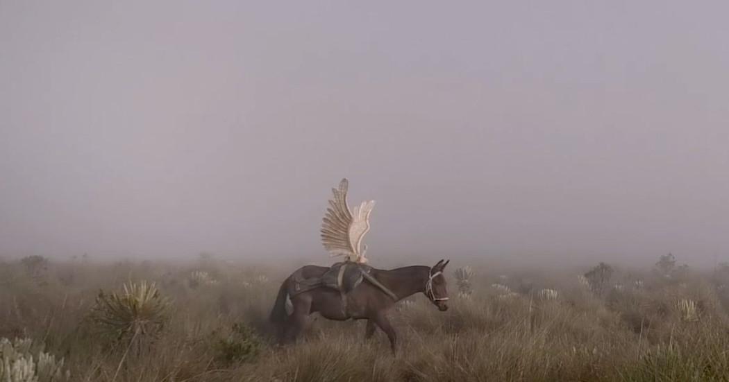 Lanzamiento Beca de investigación: Desviaciones de la voz en la FILBO