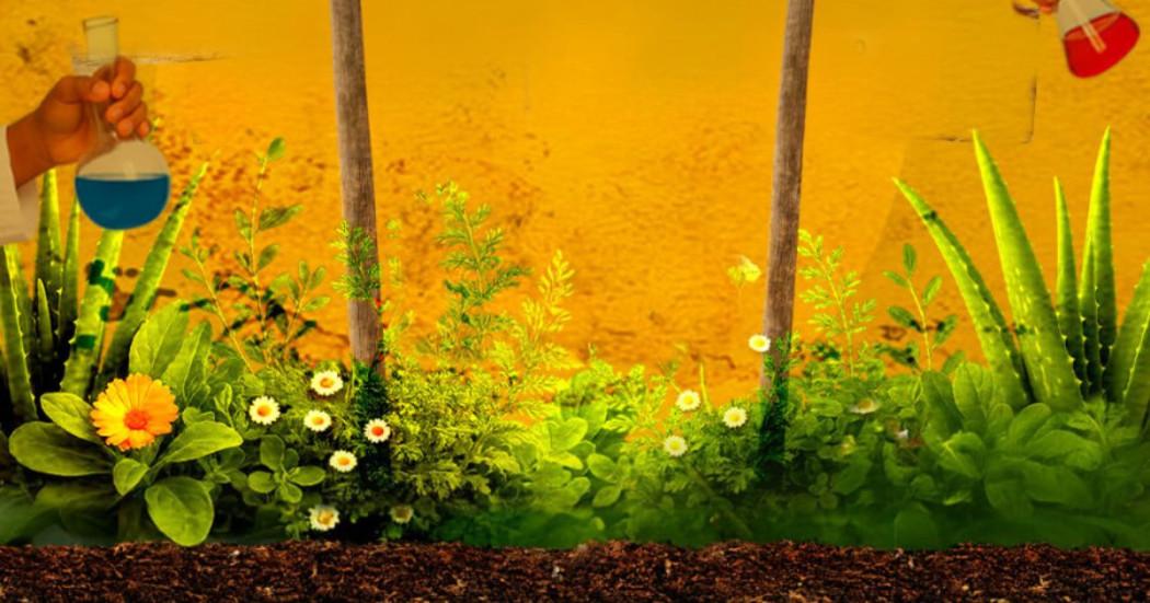 Planes en Bogotá taller para infancia Boticario de Sabores San Juan