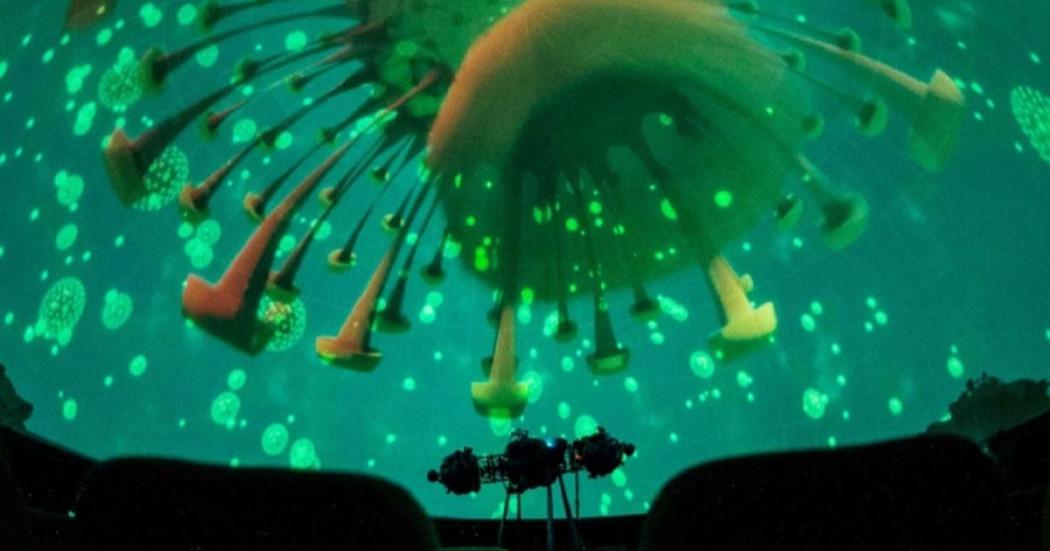 Planes en Planetario de Bogotá curso biología julio a septiembre 2025