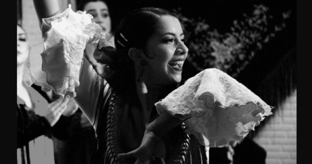 Imagen en primer palano de bailarina de flamenco