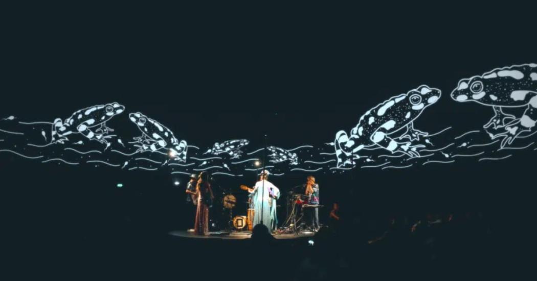 Imagen de agrupación Jacana Jacana en vivo