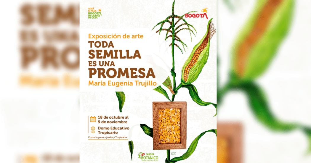 Imagen con información de la exposición.