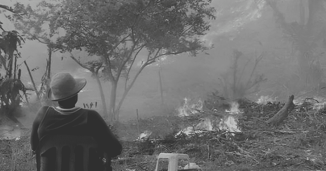 Foto de una persona observa en silencio un paisaje rural cubierto de humo y fuego
