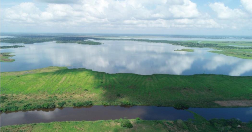 Imagen de Paisajes Emergentes 