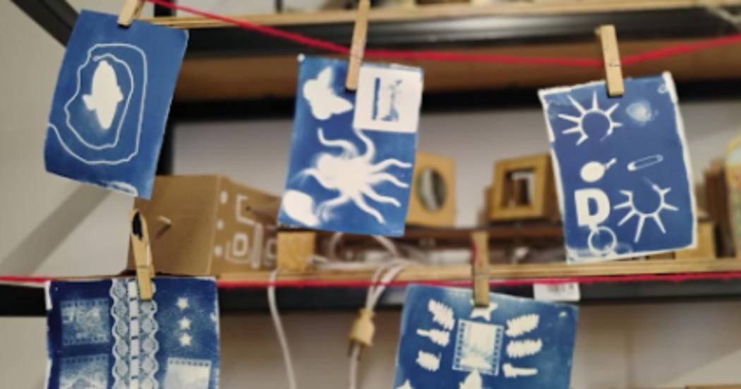 Imagen gráfica Capacidades Diversas