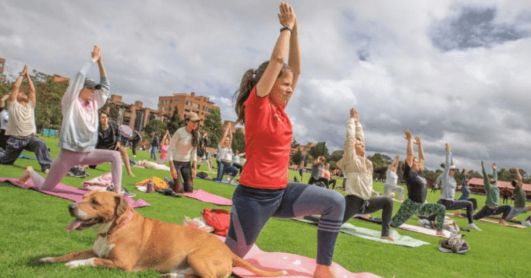 Imagen de mujer joven en parque practicando pilates.
