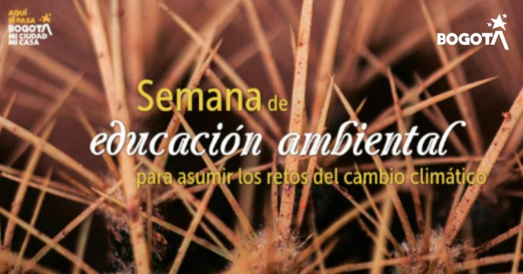 Foto de la Semana Ambiental en el Jardín Botánico de Bogotá.