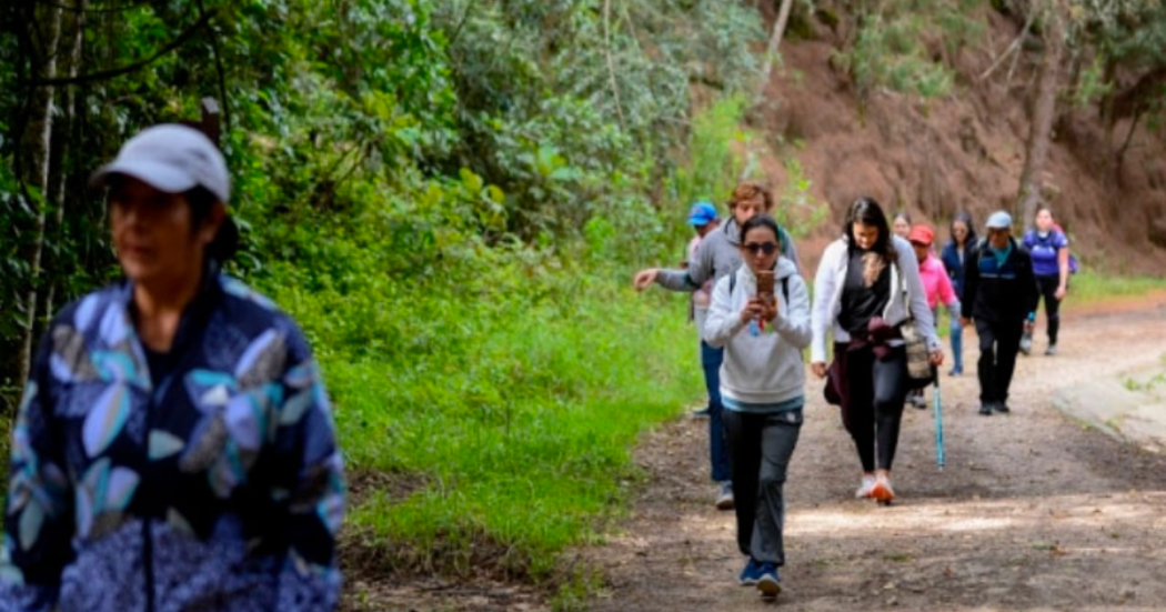 Imagen de varias personas participando en una caminata ecológica
