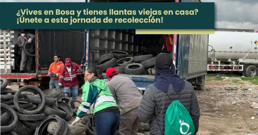 Foto que muestra personas recolectado llantas en un camión