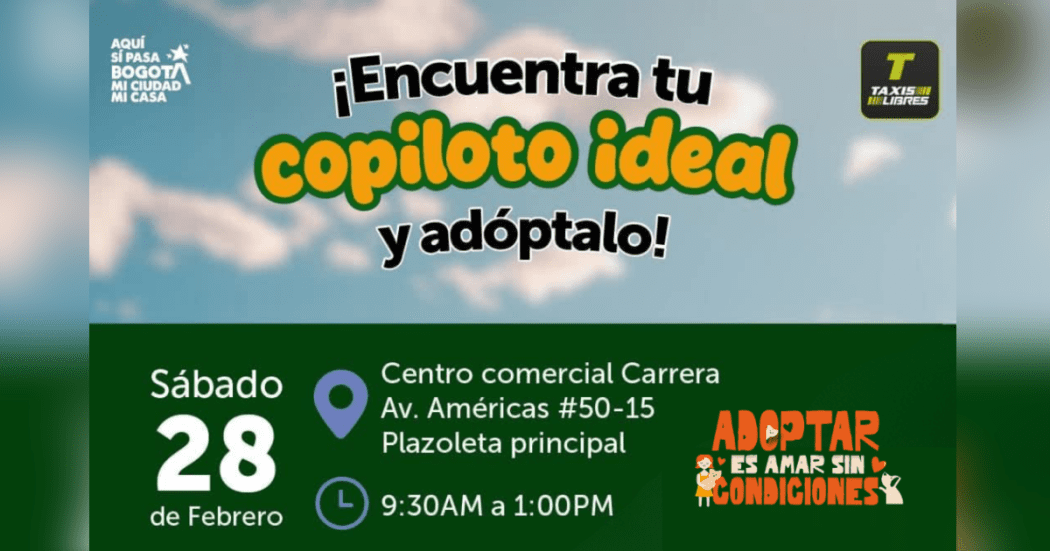 Imagen con información del Jornada de adopción