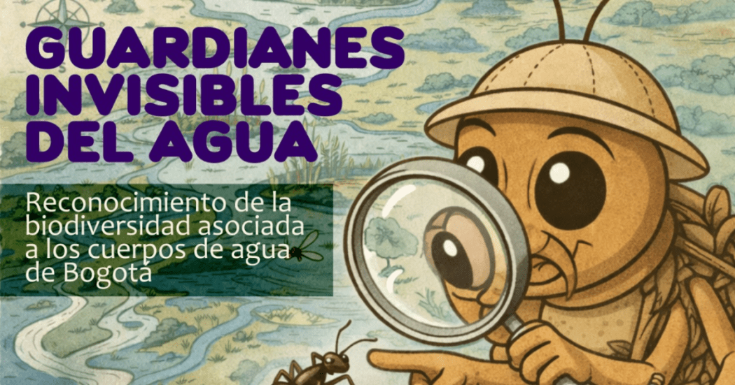 Imagen del poster promocional del taller que se ralizará en el CEE Chapinero