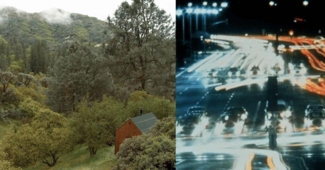 Imagen de bosque en contraste con carretera nocturna