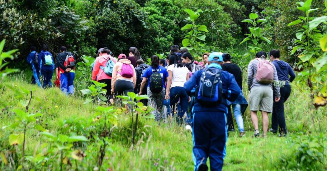 Foto que muestra personas caminando por un sendero ecológico