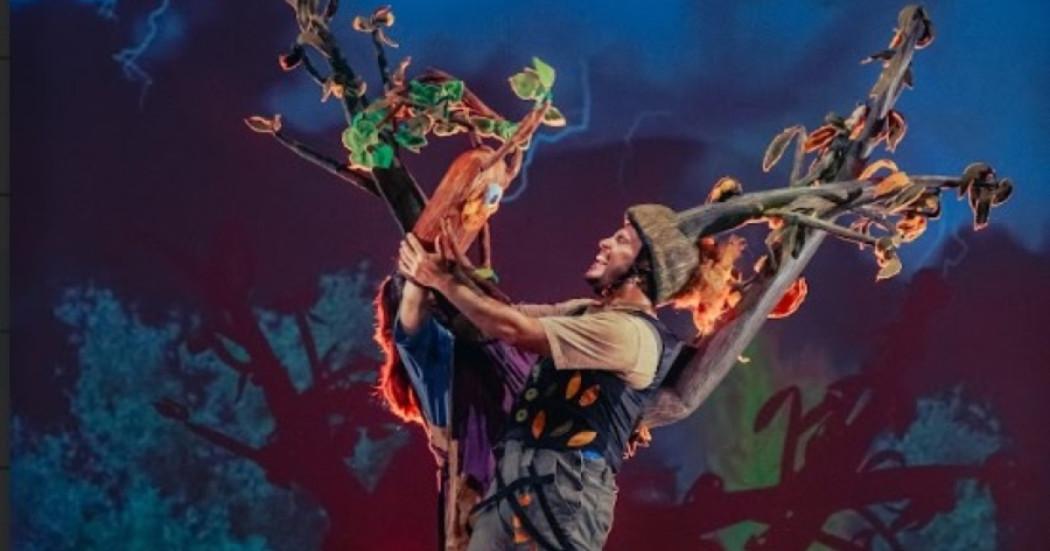 Foto alusiva a la obra Los Lenguajes de los árboles 