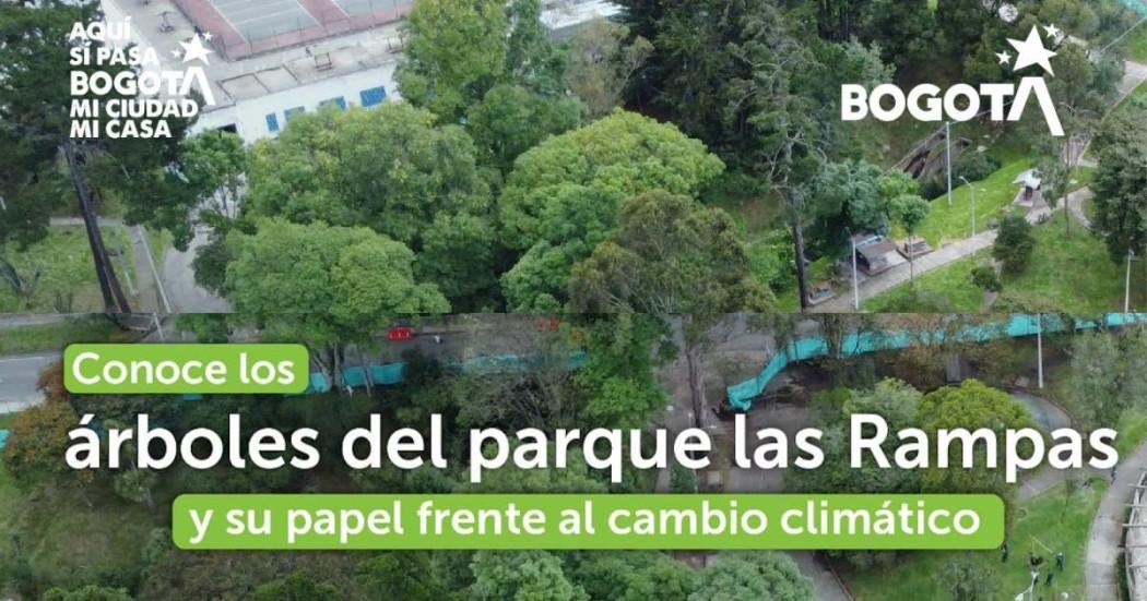 Foto de un parque en Bogotá.