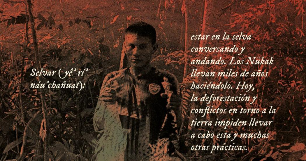 Imagen de Indígena Nukak