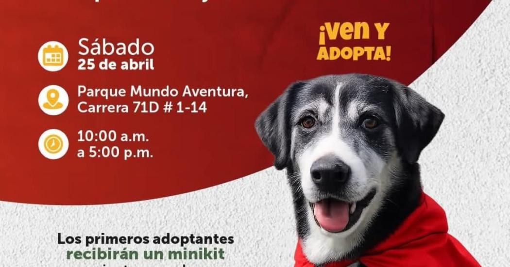 Invitación a jornada de adopción en Mundo Aventura