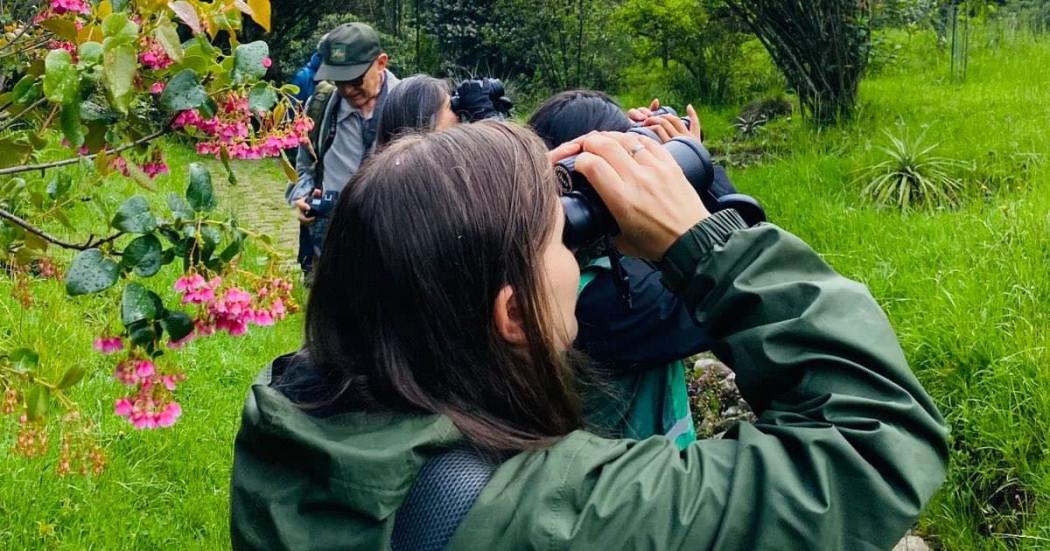 avistamiento de aves en Bogotá
