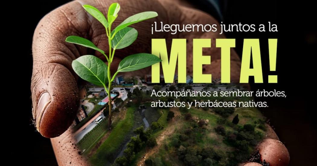 Invitación a jornada de siembra en Humedal de Techo