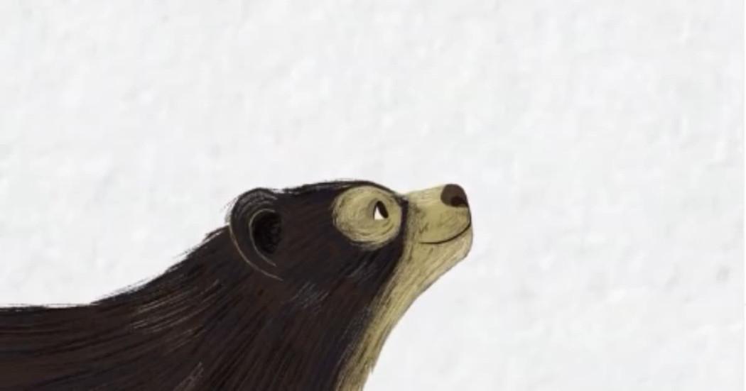Ilustración oso andino