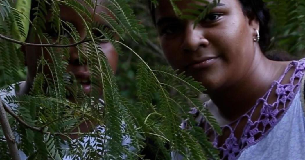 Imagen de Fotograma Luces, Cámara y Comunidad